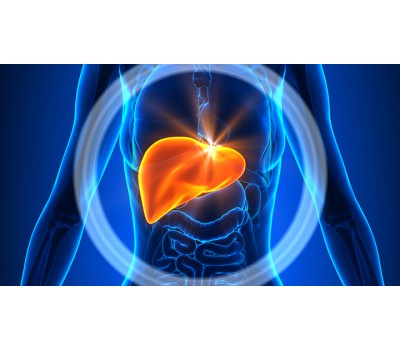 Non-Alcoholic Fatty Liver Disease